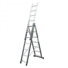 Scara culisanta Scara culisanta